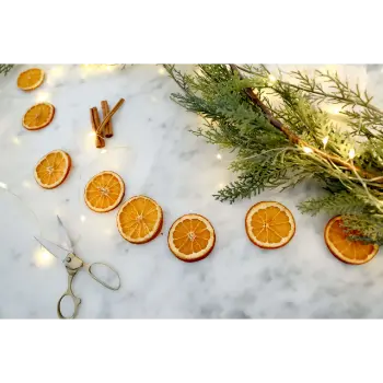 Organic Dried Orange